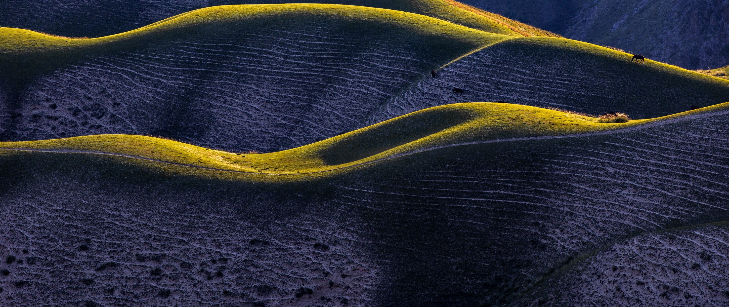 Nos thèmes d’investissement 2026